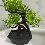 Resa Apartamento *